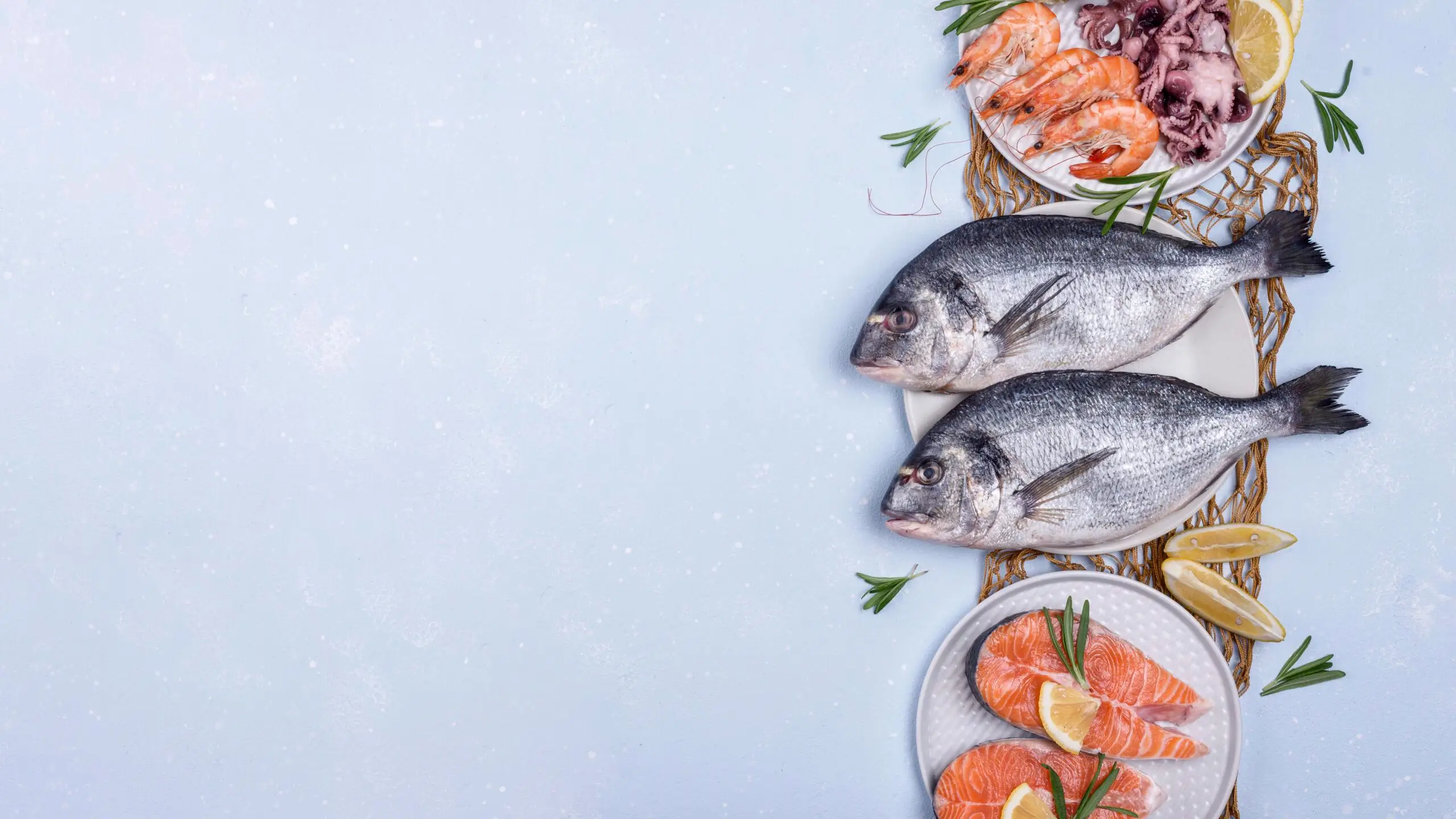 Fresh seafood assortment