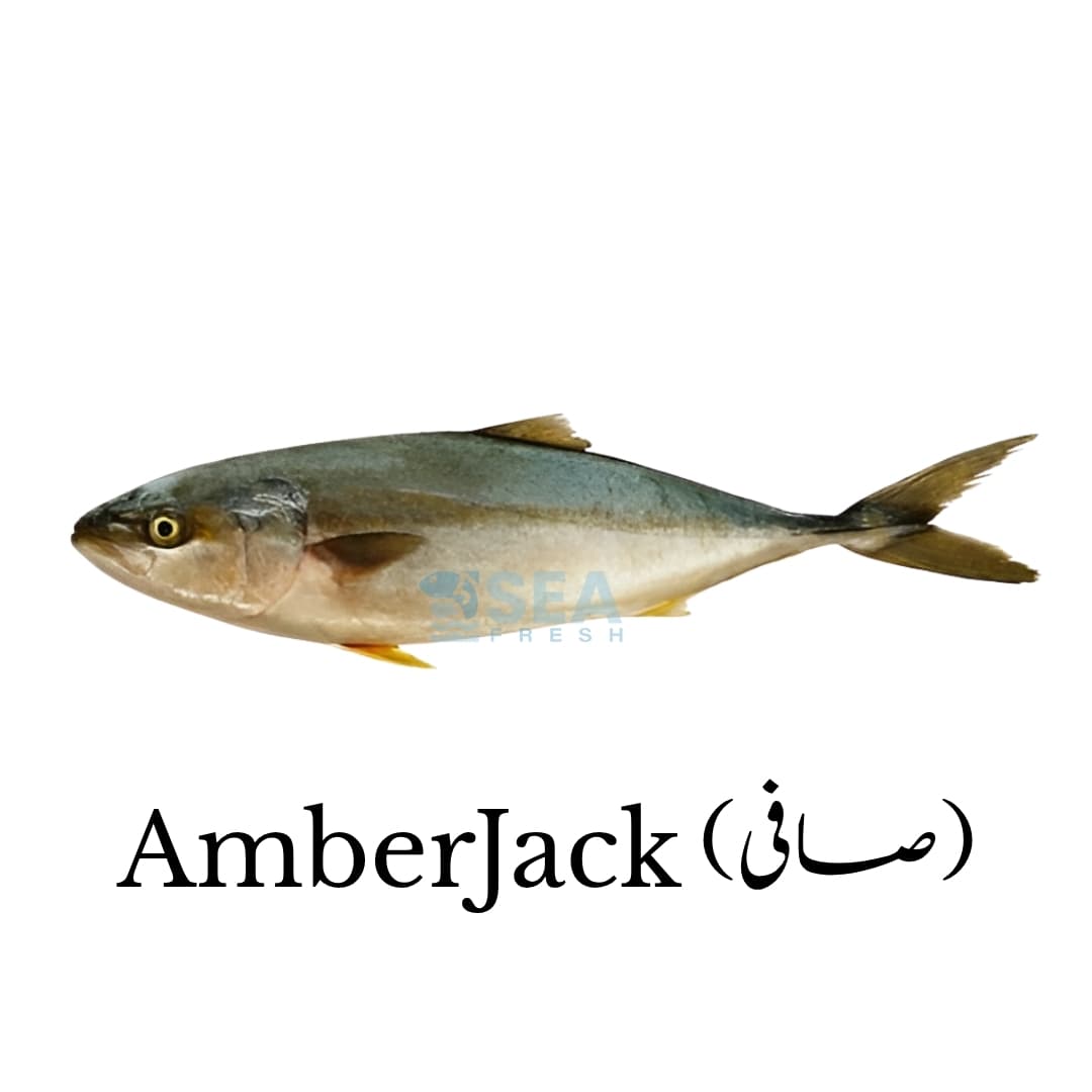 Abmerjack (Saafi) Fish