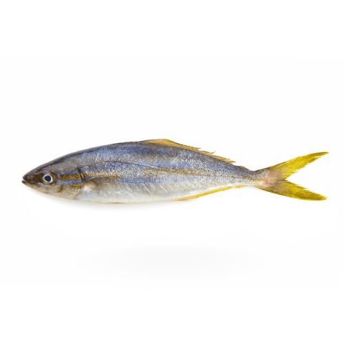 Hawaiian Salmon Fish
