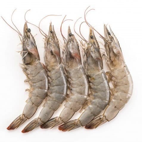 Large Prawns — image 1