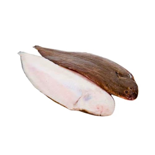 Tongue Fish (Patti Sole)