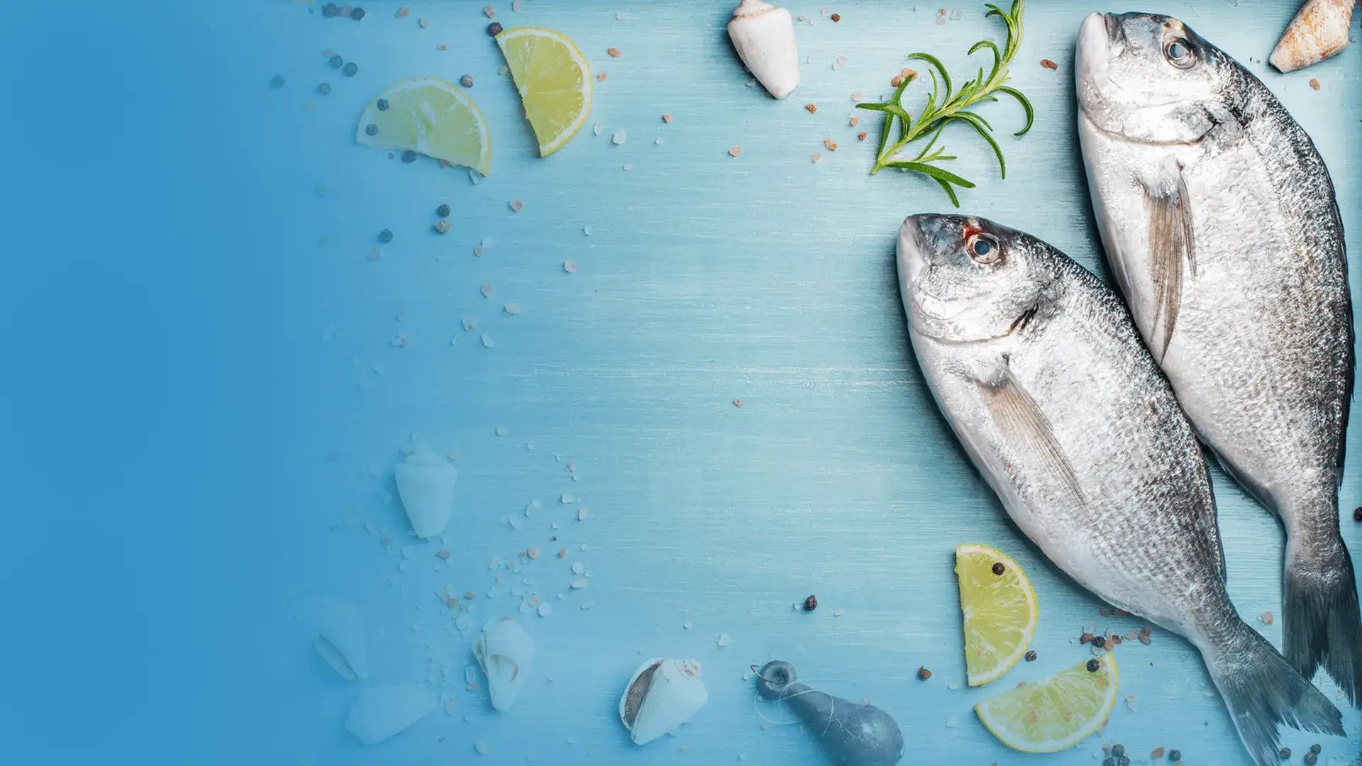 Fresh seafood