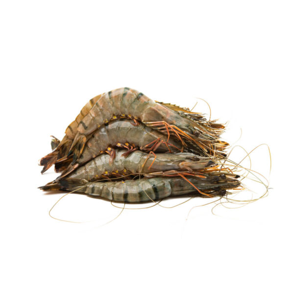 Super U8 Tiger Prawns