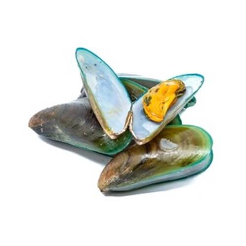 green-mussel