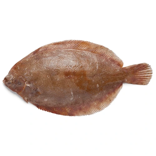 lemon-sole-sole