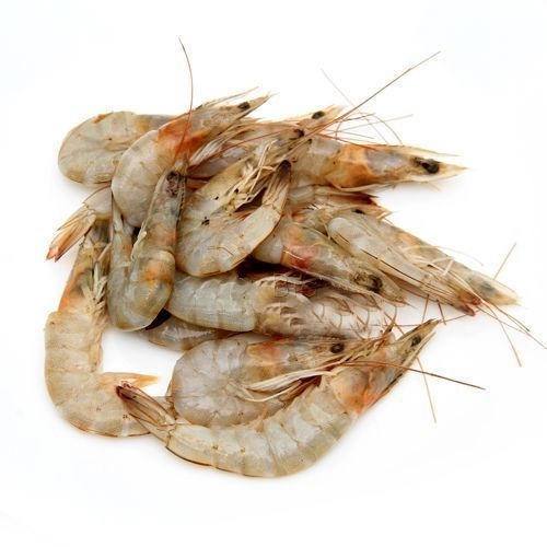 seafresh