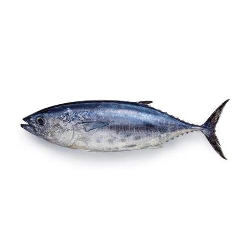 seafresh