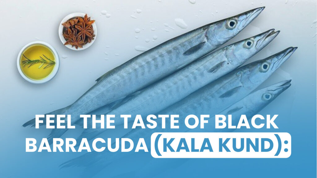 Feel the Taste of Black Barracuda (Kala Kund)