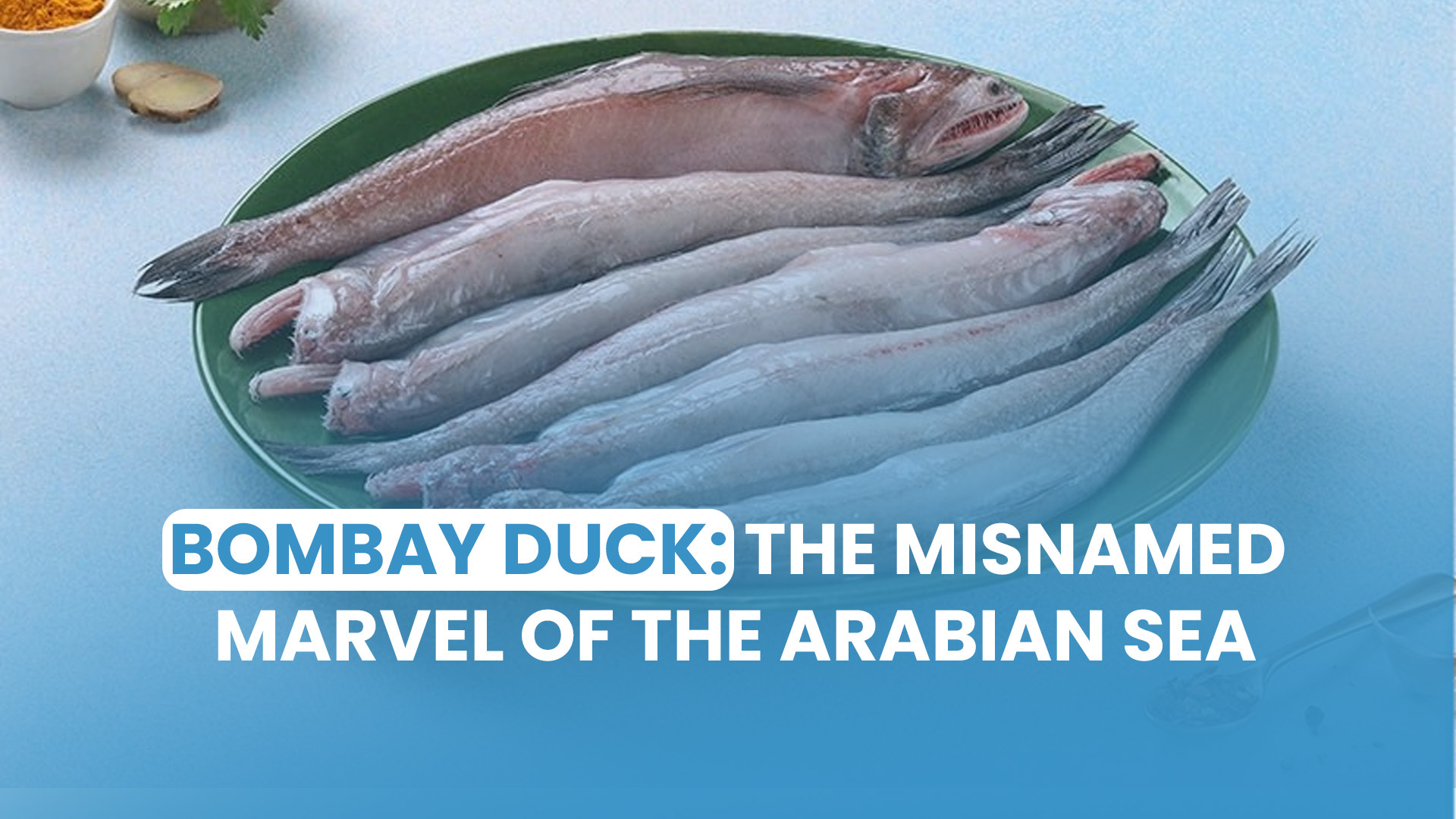 Bombay Duck