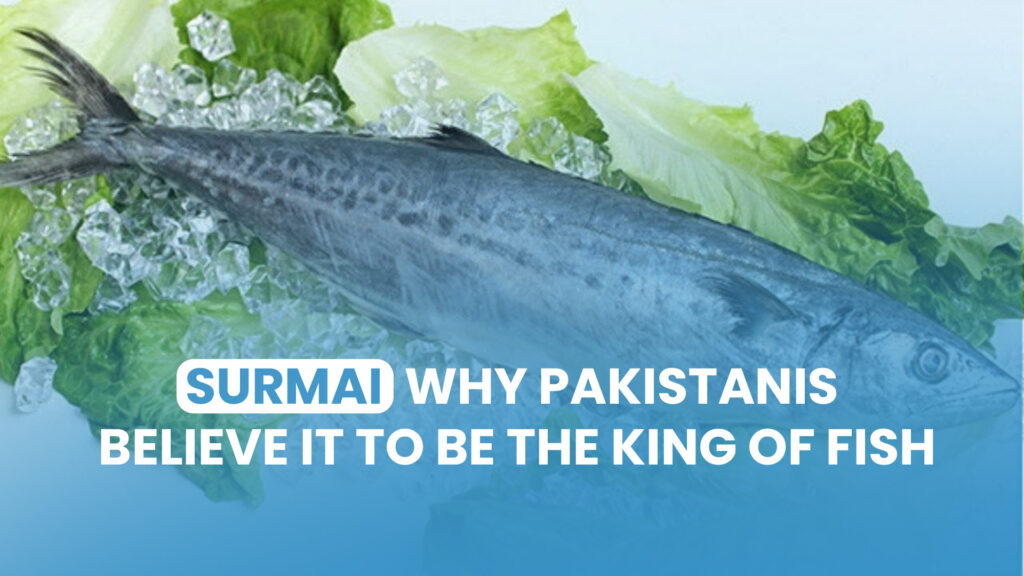 Surmai – Why Pakistanis Believe