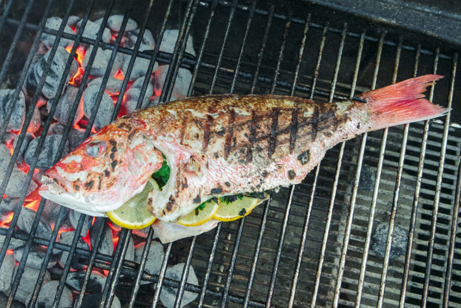 grilled fish recipe